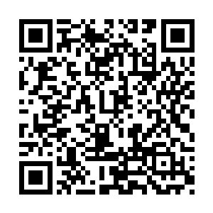 接下来就是自己搞定林诗语这个傻女孩的时刻了二维码生成