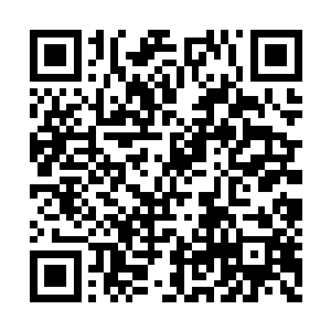 接下来所发生的一切却是证实了林辰心中的想法二维码生成