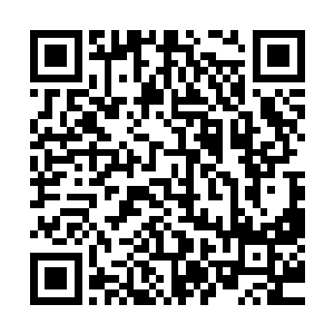 接下来整支舰队集合起来的力量和对方的一艘星君舰直接对抗二维码生成