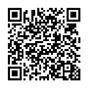 接下来是另外四个早已经陌生却永远也不会遗忘的数字二维码生成