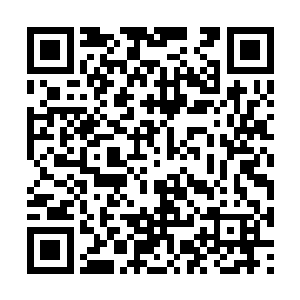 接下来是小规模低烈度的擦枪走火……一系列热身二维码生成