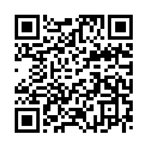 接下来是开始以后的计划的时候了二维码生成