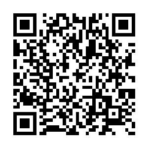 接下来是我们齐心协力完成剩余的一半的时候了二维码生成