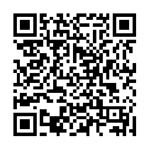 接下来林封谨便开始改造那块最大的足球场大小的地皮二维码生成