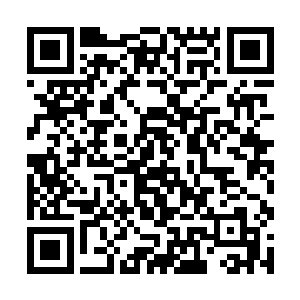 接下来林封谨又召唤来了巨木魈厚叶和三瘤妖树大根二维码生成