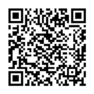 接下来洪大力带头开始往八大专业的教学大楼走二维码生成