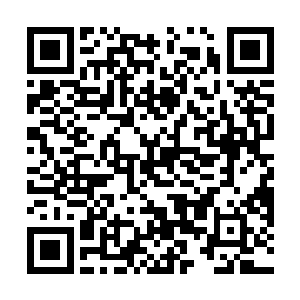 接下来的一个多月内金在珉依旧刺激着这群任课的老师二维码生成