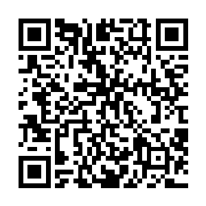 接下来的不愉快的谈话又影响了他们小别后的第一个夜晚二维码生成