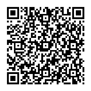 接下来的两样价值不逊于五品开天之材的压轴拍品也毫无悬念地落入了杨开的腰包二维码生成