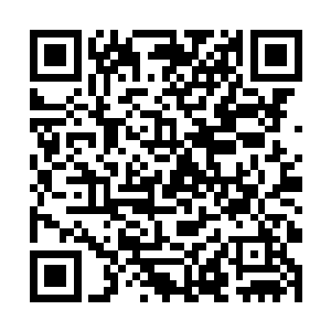 接下来的时间龙傲天众人也纷纷的开始准备守株待兔二维码生成