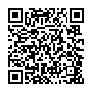 接下来的那六耳妖猿的尸体也确确实实浑身是宝二维码生成