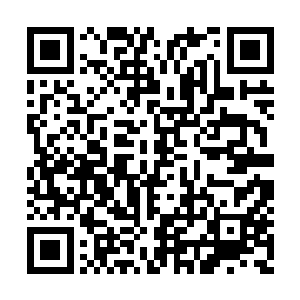 接下来罗德开始和斯塔克商量起机甲的应用起来二维码生成