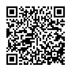接下来还没等江水柔询问花朵要江少游帮的到底是什么忙时二维码生成