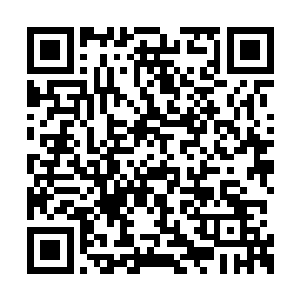 接下来那个主线是识破这帮npc的最后机会了……二维码生成