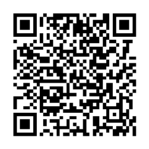 接下来麻烦金管事将我送到天古荒域最近的地方二维码生成