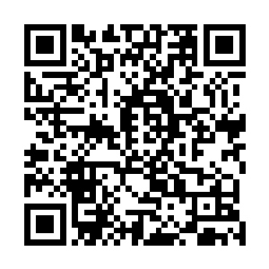 接下来龙傲天两个人要做的就是尽快的提升自己的实力了二维码生成