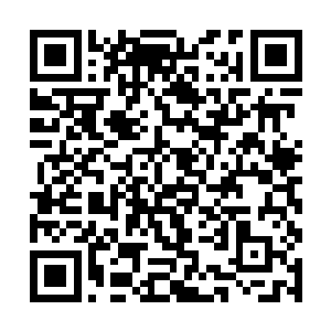 接到警察局打来电话的张丽珍整个人都快要晕过去了二维码生成