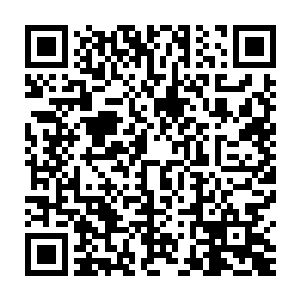 接受的恶意远比善意更加的多……一路血腥的走过自己的道路之后二维码生成