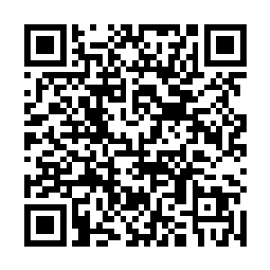接待他们的工作人员马科斯刚一照面就惊讶的认出叶惟二维码生成