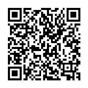 接手了安陵所有记忆的流墨墨下一瞬就知晓了他前一息的想法二维码生成