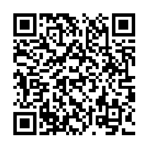 接着一个比白嘉瑞当时来东江更大的人墙就形成了二维码生成