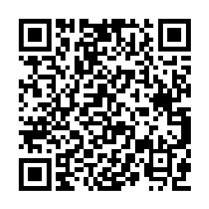 接着一个身着官服的少年微微勾着唇角走了出来二维码生成