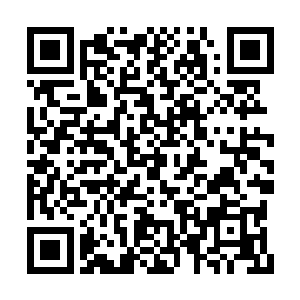 接着临时客串边学道秘书的魏小冬敲门走了进来二维码生成