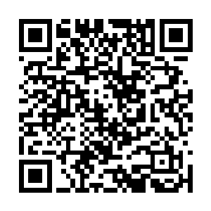 接着他便是看见了战天火猴正一脸关切的看着自己二维码生成