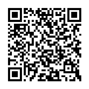 接着伸出纤纤玉手一下子便捉住了那个罪魁祸首二维码生成