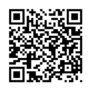 接着又给霍君瑶介绍了燕小霞和公输若兰二维码生成