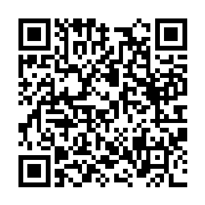 接着叶然便是将那血红色的玉石丢入了应龙鼎当中二维码生成