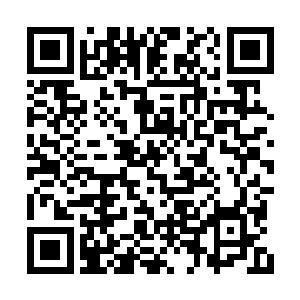 接着她手里接二连三的出现有人拍板签约的状况二维码生成