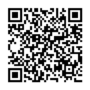 接着就只听到一声很是凄凉的鸣叫声同时传入秦宇和老者的耳中二维码生成