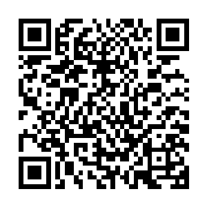 接着就把整个接近长方形的硬壳包分成前后两块这么内外一翻二维码生成