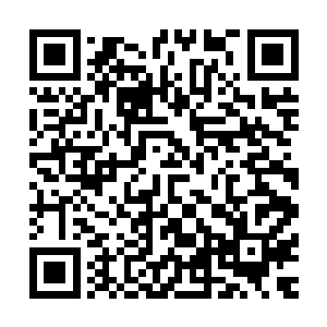 接着就看到严二小姐严兰在几个丫头的簇拥下从屋里走了出来二维码生成