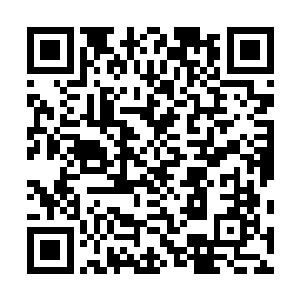 接着就见地底嗖嗖地窜出无数青藤张牙舞爪地扑向中年人二维码生成