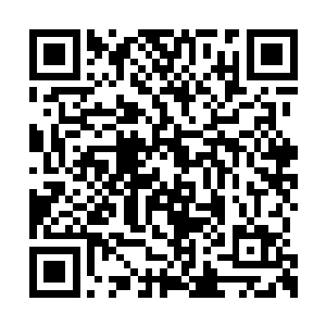 接着心惊胆战的牟晨菲更是听见惨叫声时隐时现二维码生成