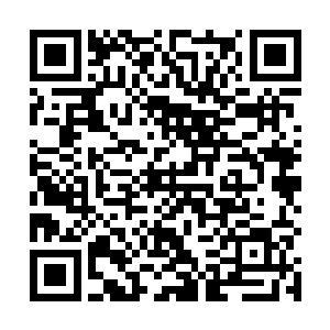 接着所有站队的人就开始分析夜明到底掌握了多少东西二维码生成