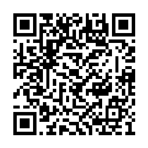 接着整个贝类就在他们的眼皮子低下缩小的一圈二维码生成