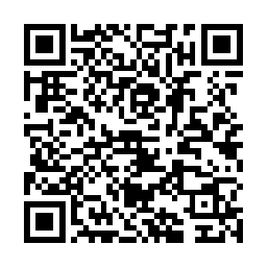 接着江帆一手捏着小木棒在手中快速的拔出来又放进去二维码生成