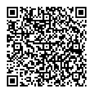 接着站了起來　背起双手　看着远方愈加明亮的天空　将自己进入秘境之内所发生的事情　一点点的说了出來二维码生成