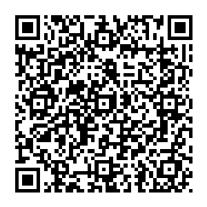 接着脑袋向肩膀的这边一歪……随即就准确无误地将保罗打来的那条胳膊给夹在了他的脑袋和肩膀之间二维码生成