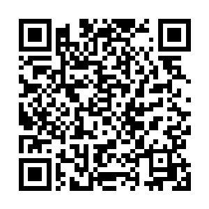 接着苏林简单的跟周泰他们介绍了一下古武者的功法特点二维码生成