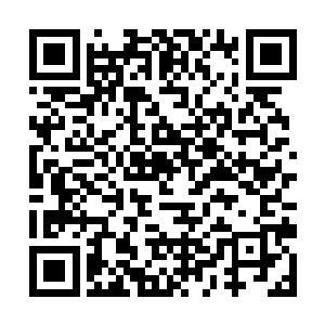 接着黑皮仆兽和婴灵各自释出一滴灵魂精血射入光球二维码生成