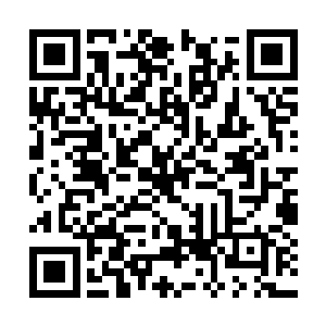 接过资料没有说话立刻开始准备实验同时解密资料二维码生成