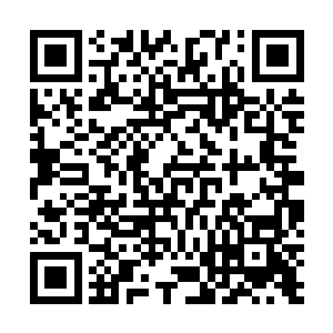 接近上品仙器的全力攻击对他可是能够造成致命的伤害的二维码生成