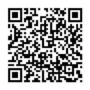 接近半数的人一辈子多少都会有点心理障碍过程二维码生成