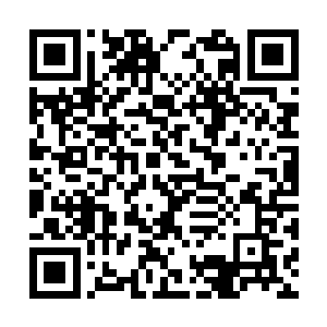 接连七八名准修仙者惨死在巨神兵的猩红激芒之下二维码生成