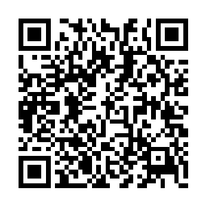 接连徒手以超绝的玄功战技灭了几个三阶异族后二维码生成