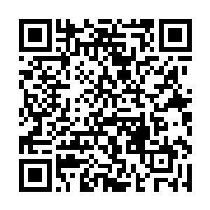 接连的震慑让云仙宗的这些人现在一个个也全都懵了二维码生成